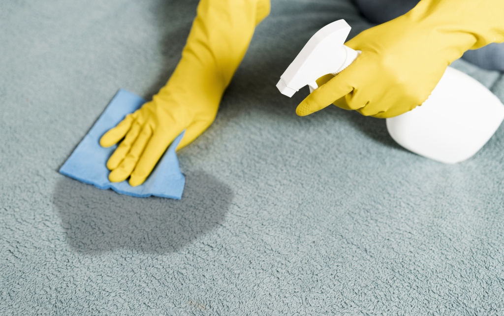 Disinfection Services | Professional Animal Odor And Stain Removal Services | Touch Everything